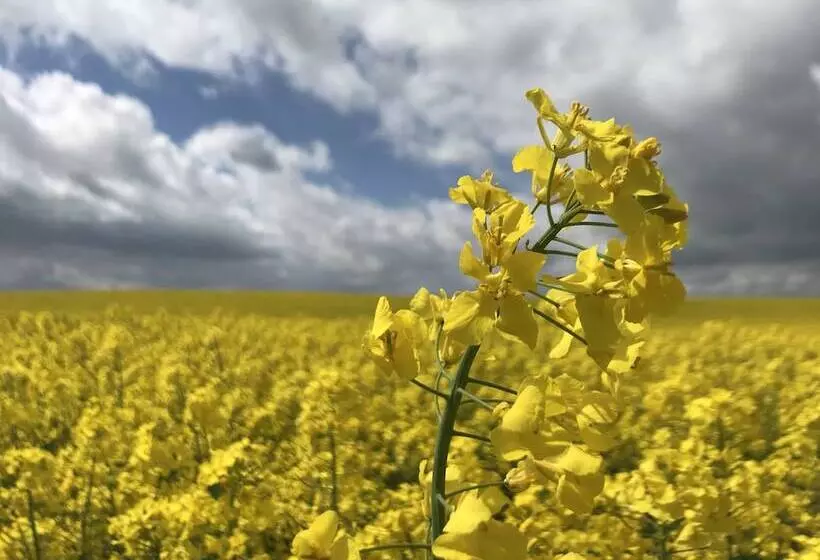 Hotelli Campingplatz Bad Stuer