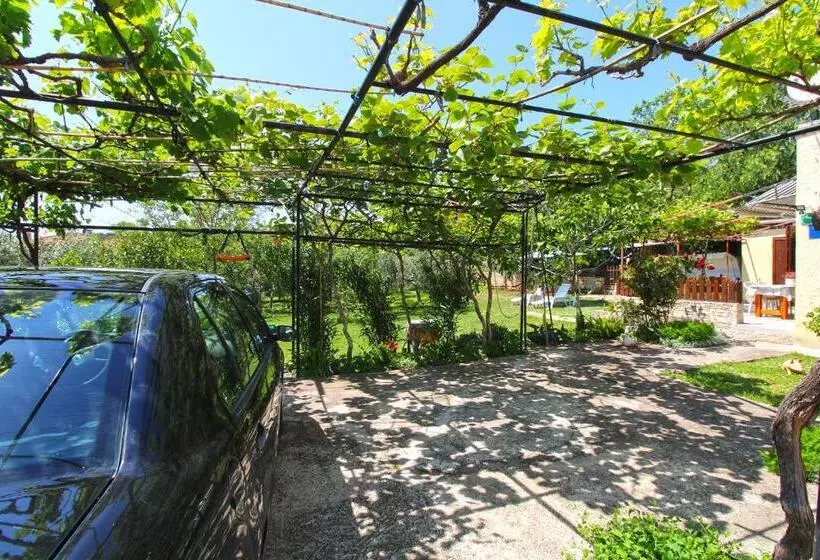 Apartments Pavao 1402