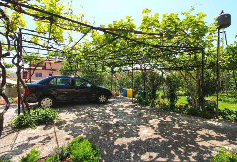 Apartments Pavao 1402