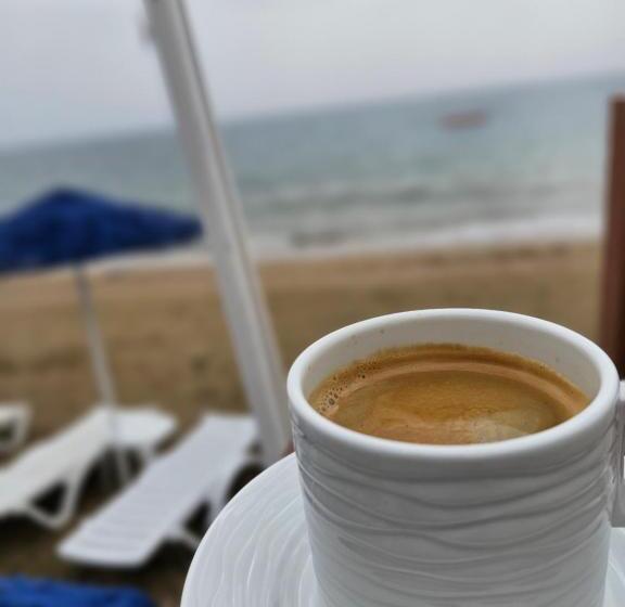 فندق Mimoza Beach