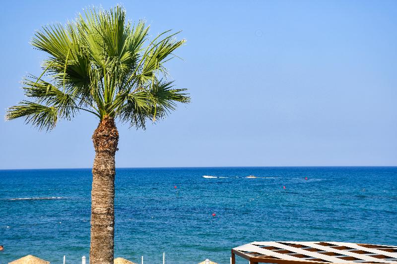 فندق Mimoza Beach