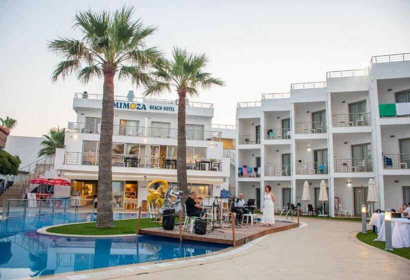 فندق Mimoza Beach