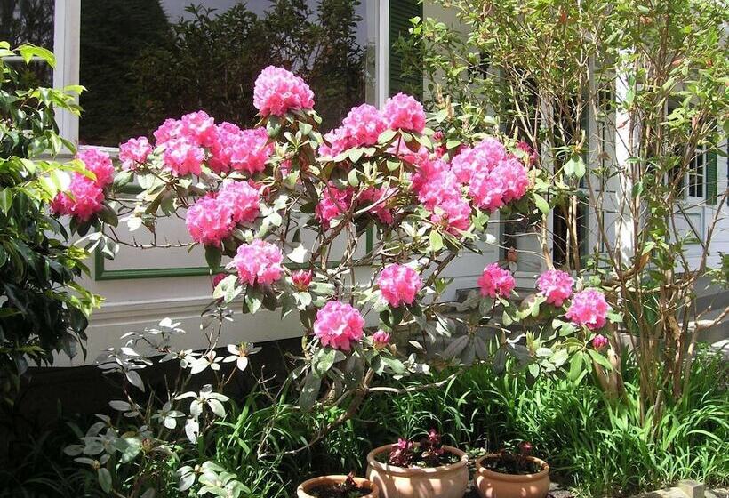 モーテル Bucket Tree Lodge