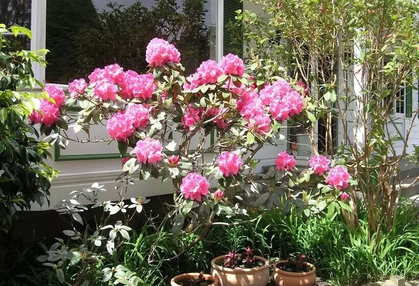 Motelli Bucket Tree Lodge