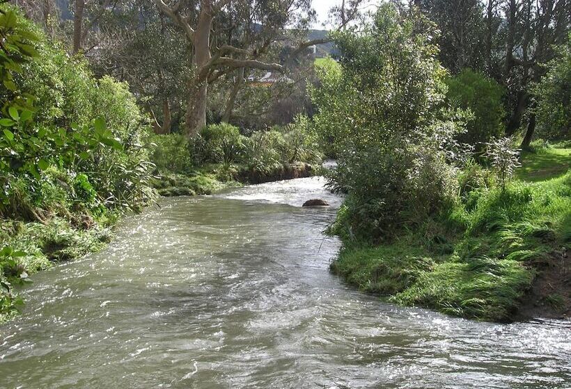 モーテル Bucket Tree Lodge