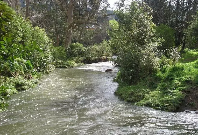 Motelli Bucket Tree Lodge
