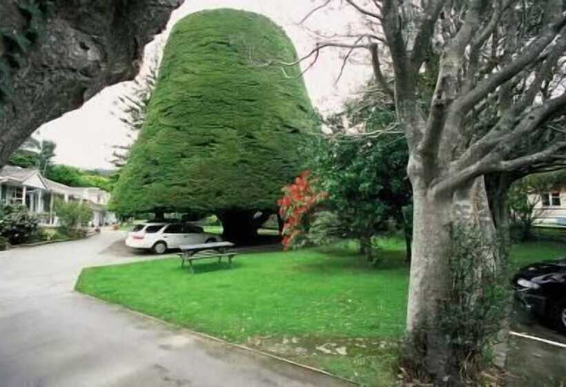 モーテル Bucket Tree Lodge