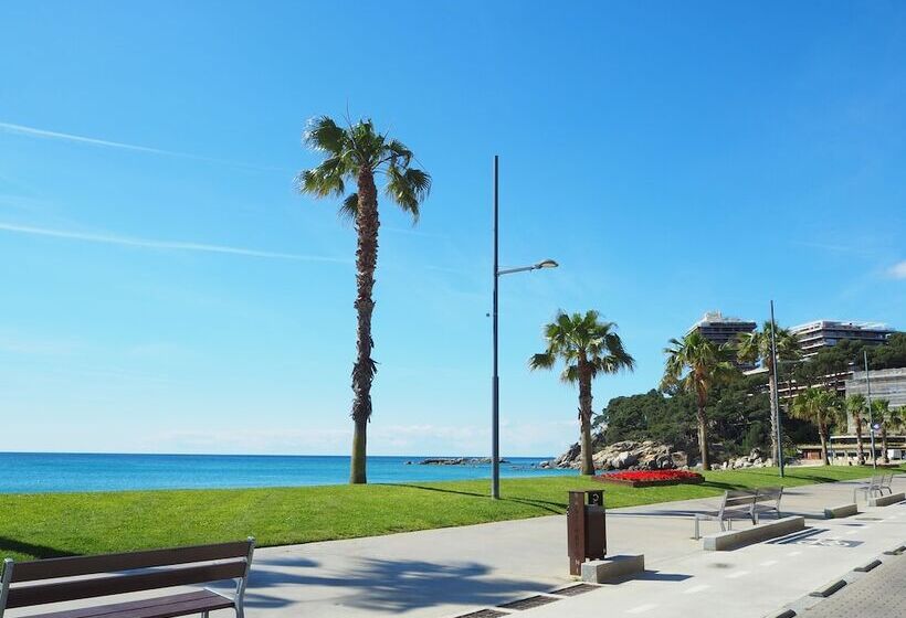 Amazing Penthouse On The Seafront