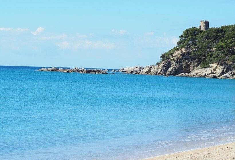 Amazing Penthouse On The Seafront