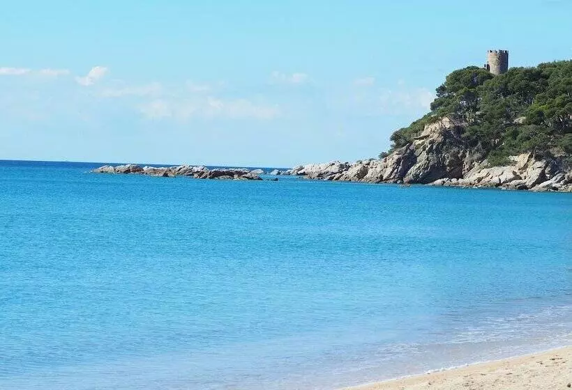 Amazing Penthouse On The Seafront