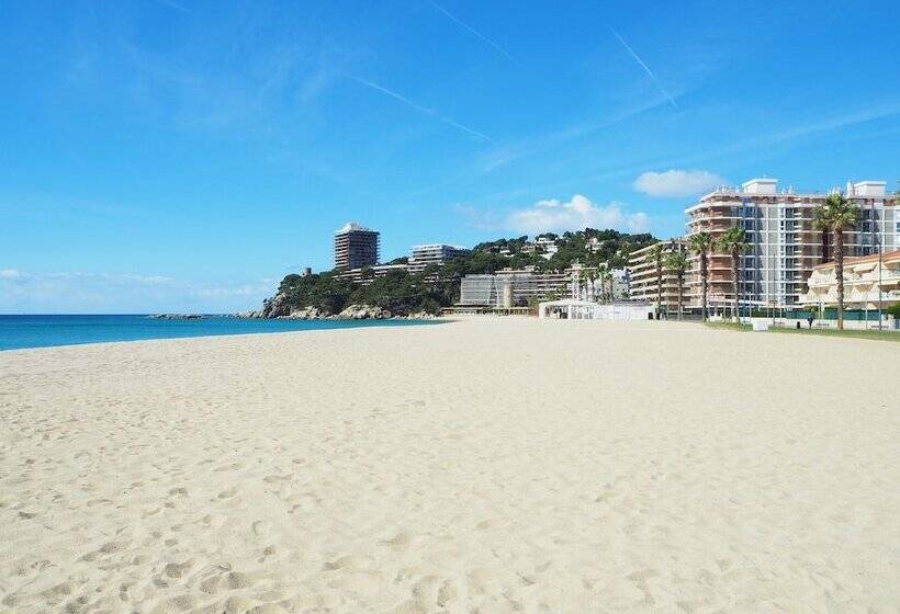 Amazing Penthouse On The Seafront