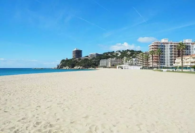 Amazing Penthouse On The Seafront