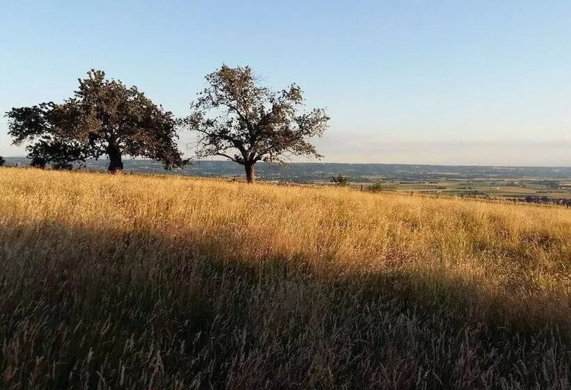 ベッドアンドブレックファースト Au Dessus De Parady