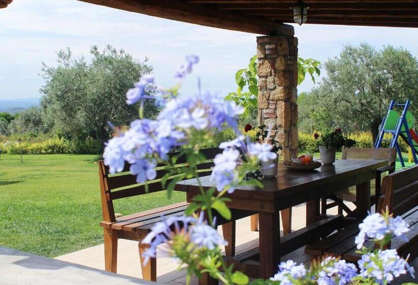 Mediterraneo Luxury Suites Halkidiki