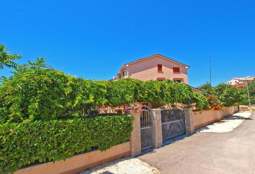 Apartments Orange 994