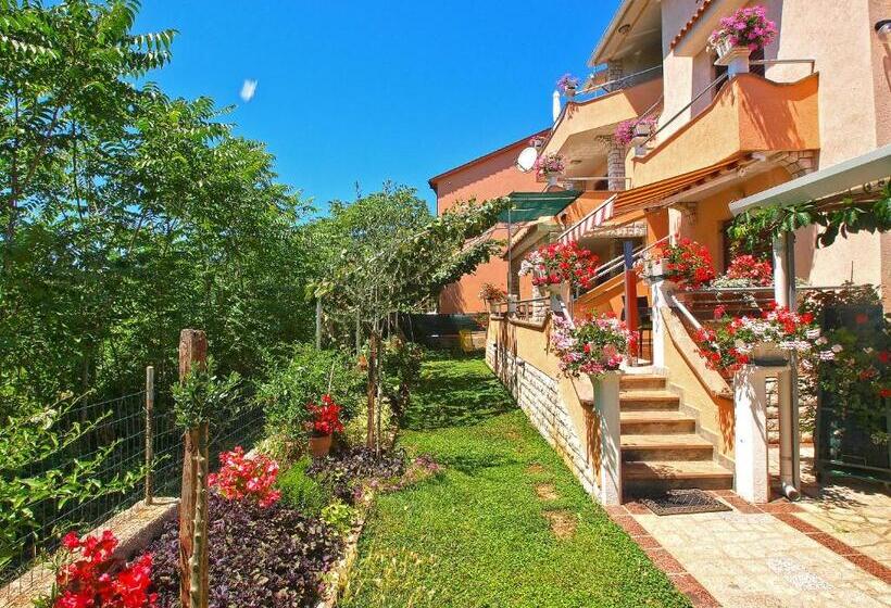 Apartments Orange 994