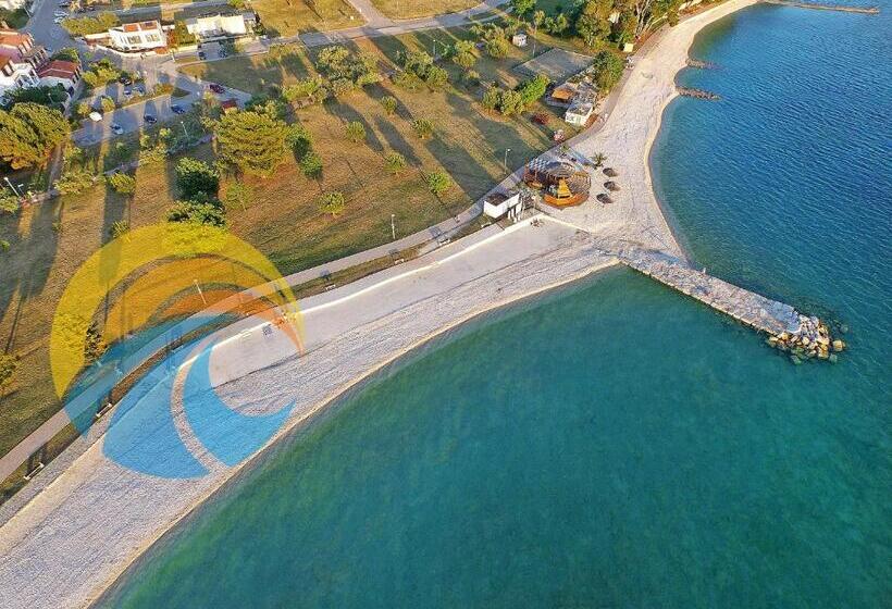 Apartments Orange 994