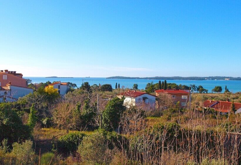 Apartments Orange 994