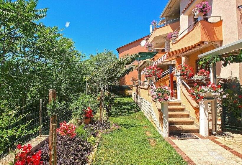 Apartments Orange 994