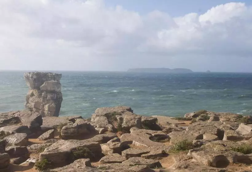 Friendly Peniche Apartment