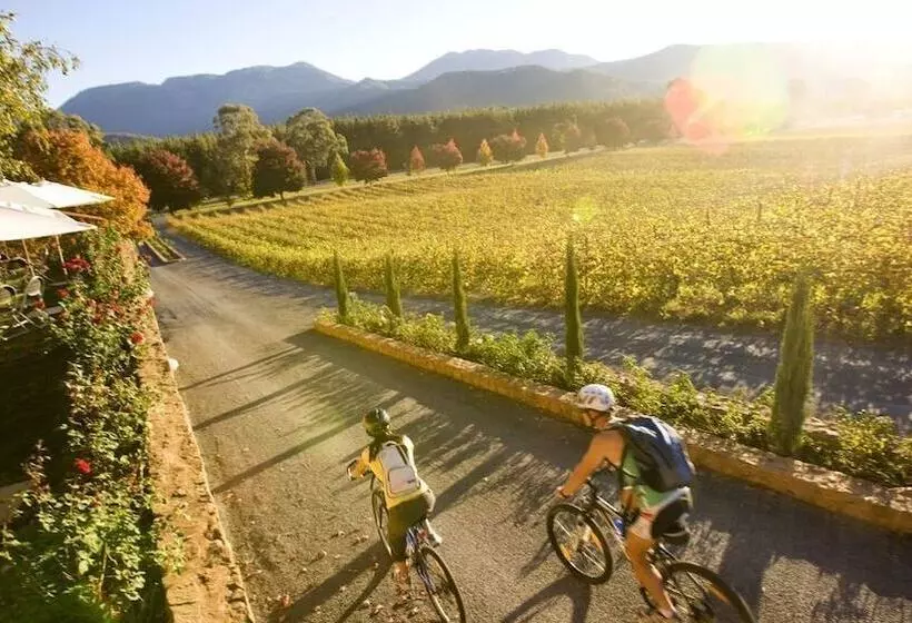 Mystic View Cottage Wandiligong