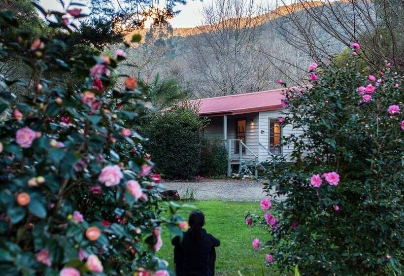 Mystic View Cottage Wandiligong