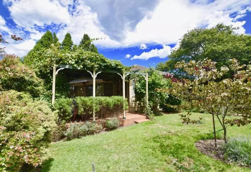 Raspberry Terrace Of Leura