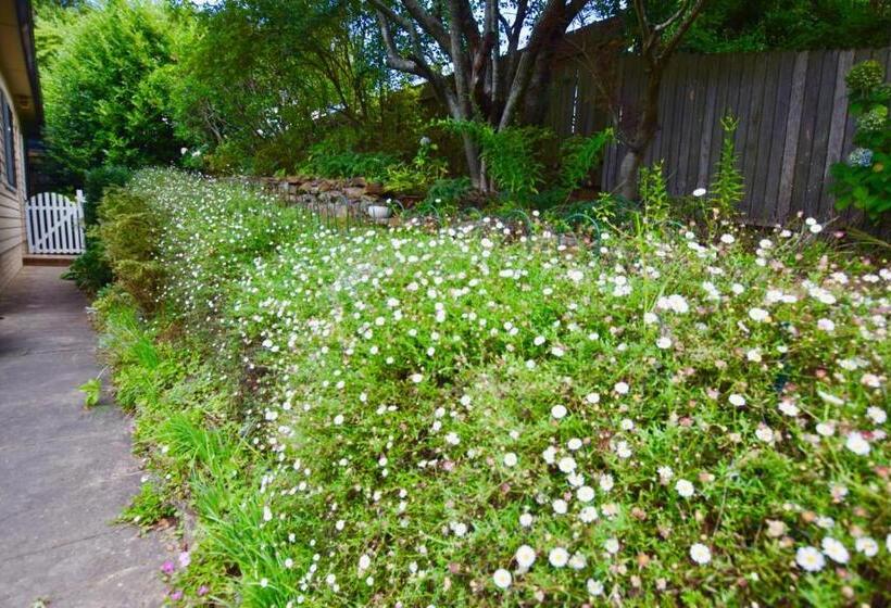 Raspberry Terrace Of Leura