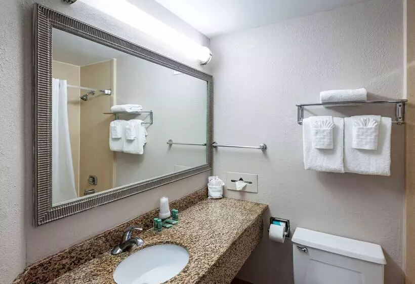 Best Western New Smyrna Beach Hotel & Suites