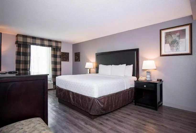 Clarion Hotel & Conference Center Leesburg