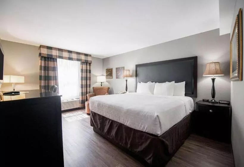 Clarion Hotel & Conference Center Leesburg