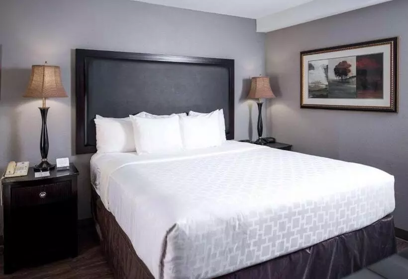 Clarion Hotel & Conference Center Leesburg