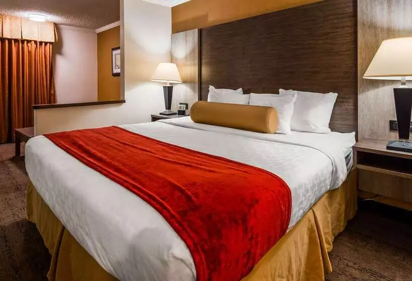酒店 Best Western Galleria Inn & Suites