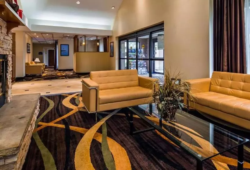 酒店 Best Western Galleria Inn & Suites