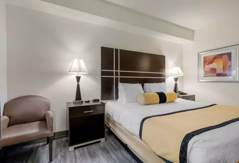 酒店 Best Western Plus Rockwall Inn & Suites