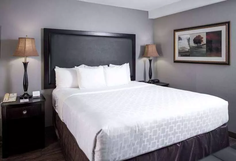 Clarion Hotel & Conference Center Leesburg