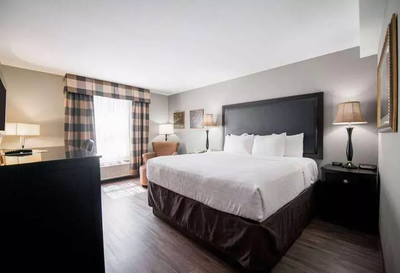 Clarion Hotel & Conference Center Leesburg