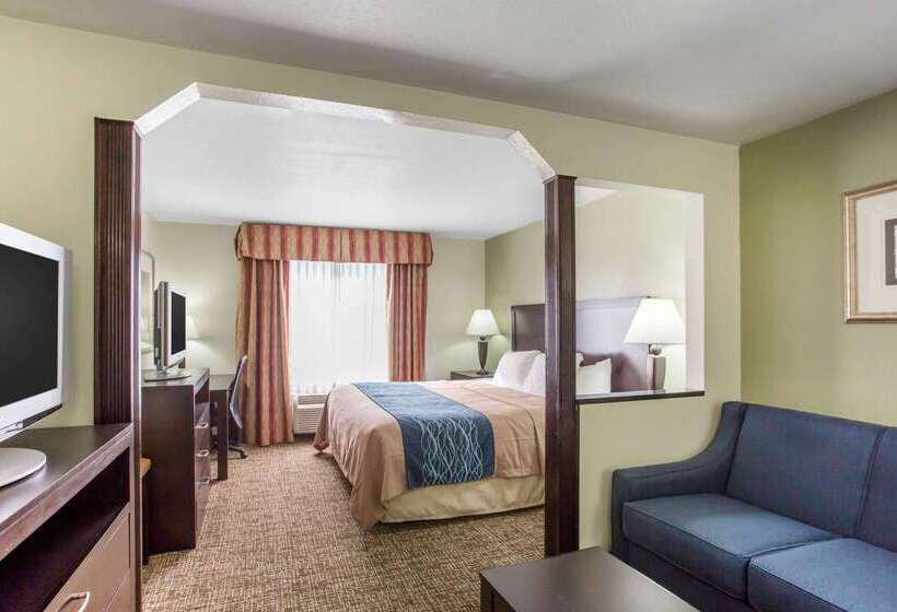 Otel Comfort Inn Franklin Highway 96