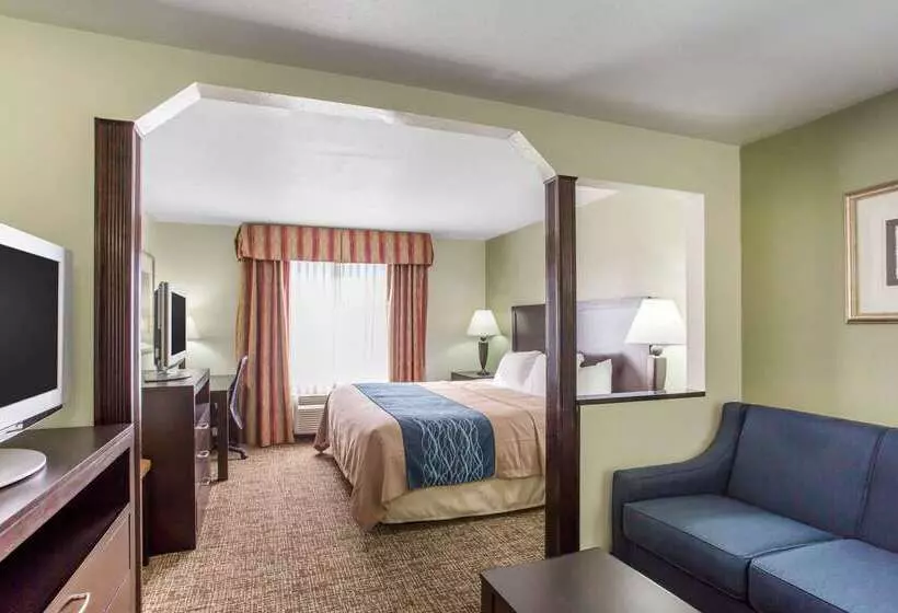 호텔 Comfort Inn Franklin Highway 96