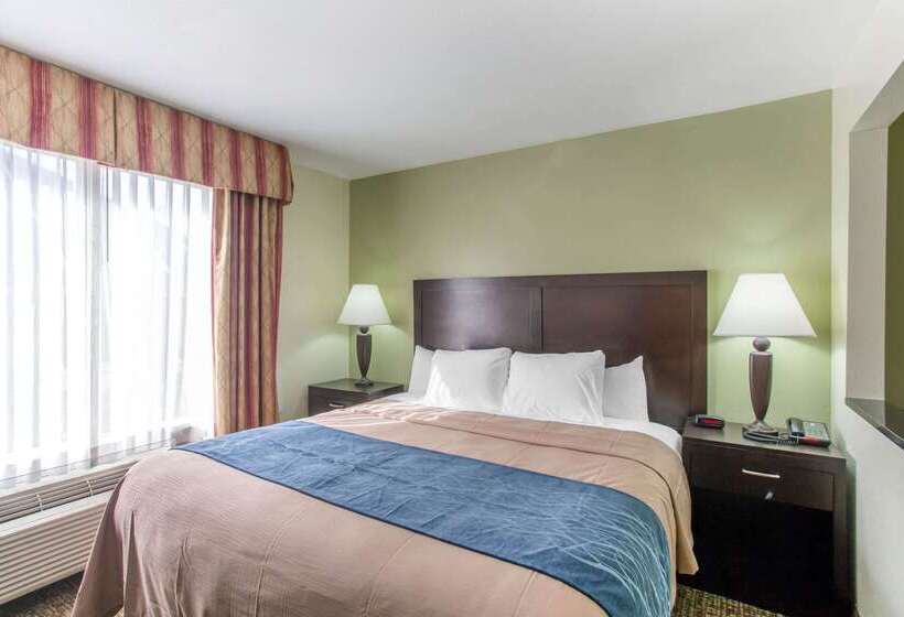 Otel Comfort Inn Franklin Highway 96