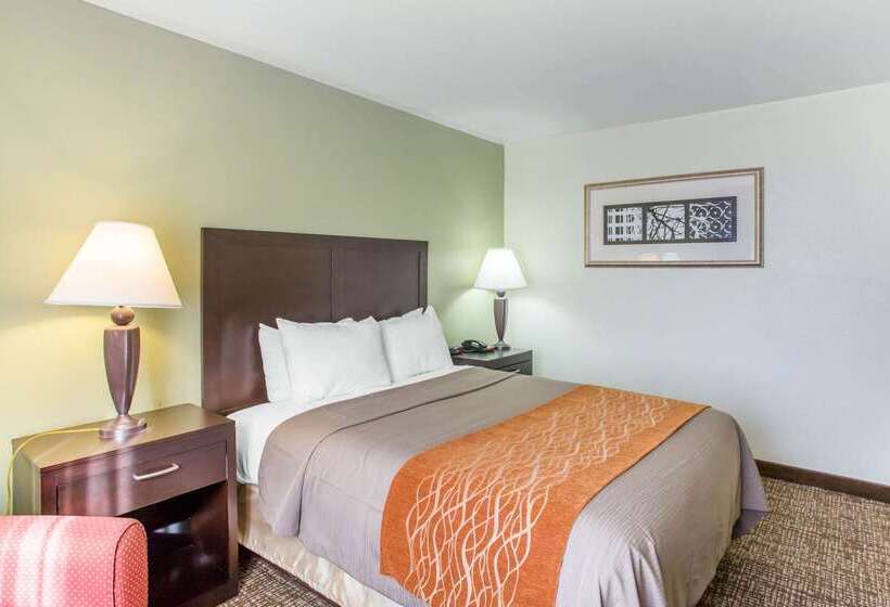 Otel Comfort Inn Franklin Highway 96