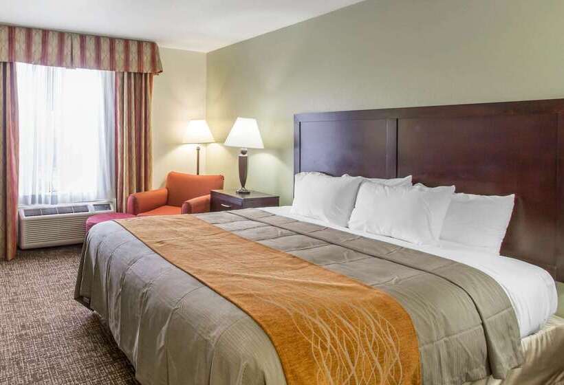 Otel Comfort Inn Franklin Highway 96