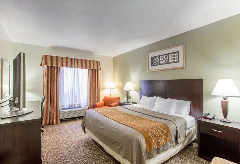 Otel Comfort Inn Franklin Highway 96