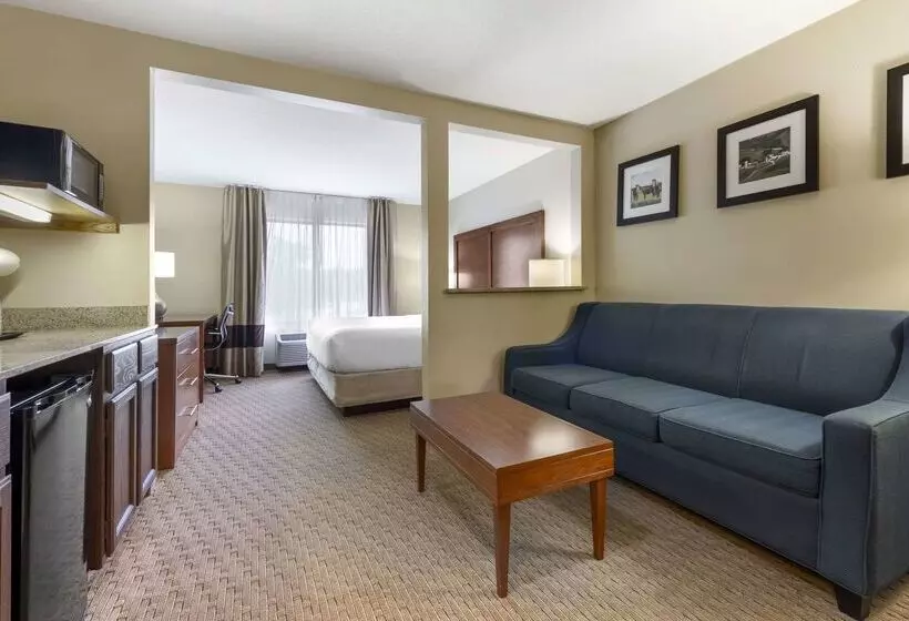 فندق Comfort Inn & Suites Black River Falls I94