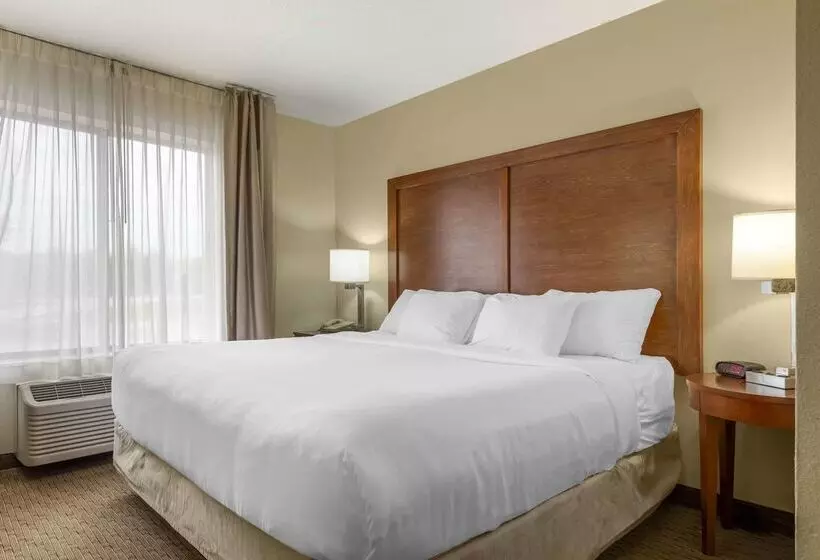 فندق Comfort Inn & Suites Black River Falls I94