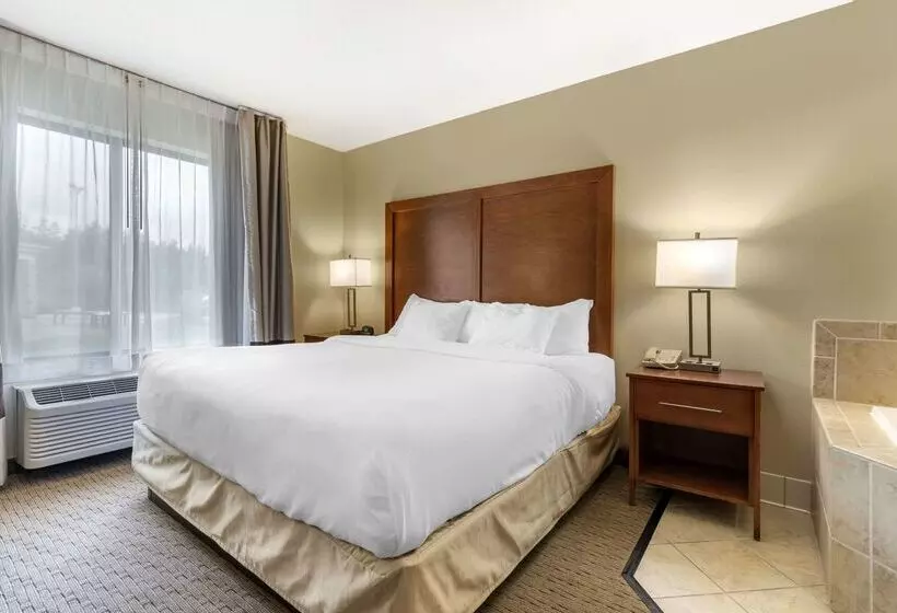 فندق Comfort Inn & Suites Black River Falls I94