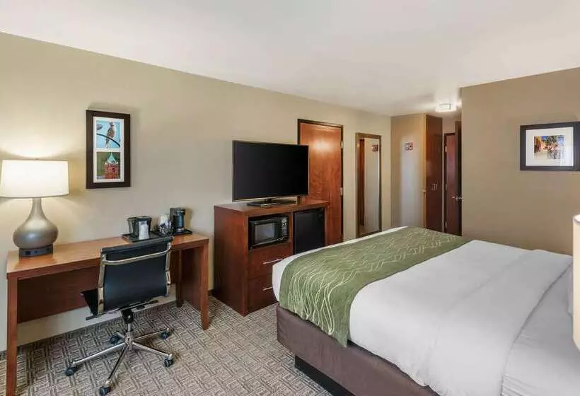 هتل Comfort Inn University