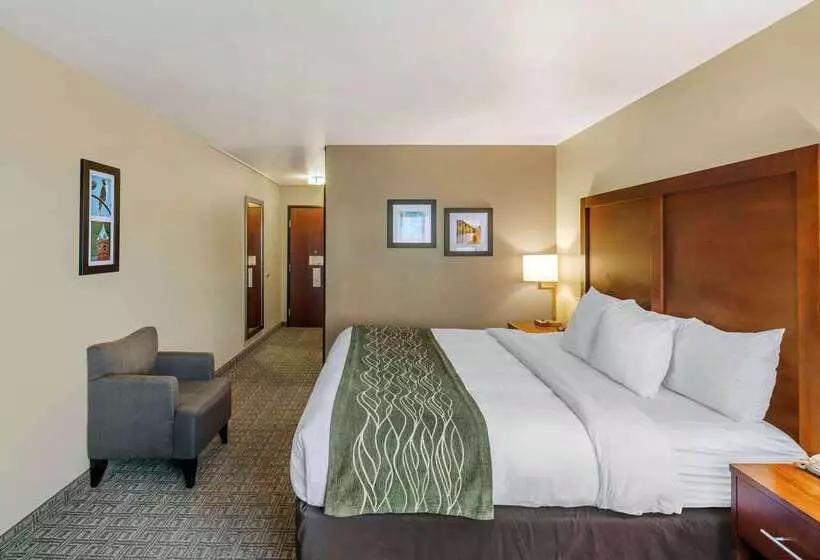 هتل Comfort Inn University