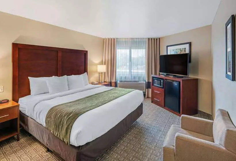هتل Comfort Inn University
