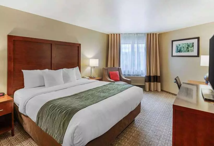 هتل Comfort Inn University